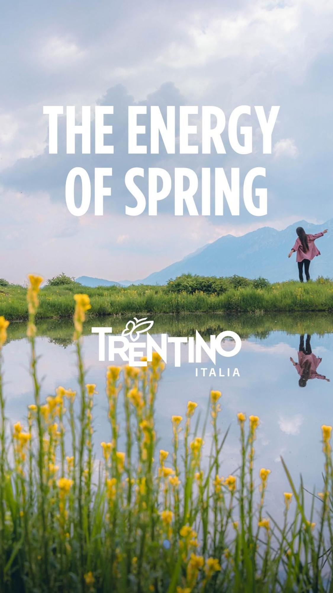 Apartment Monolocale In Casa Del 700 - Trento Belvedere (Trento)